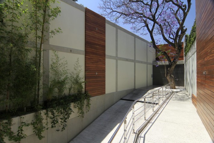 Urban Oasis Jacarand, Mexico City, designed by Sage Architecture